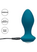 Vibrating Crystal Probe Vibrating Crystal Probe