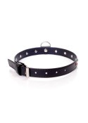 Bdsm bondage dominacja obroża 2cm skórzana czerwon Bdsm bondage dominacja obroża 2cm skórzana czerwon