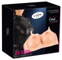 Breasts with Bra Breasts with Bra