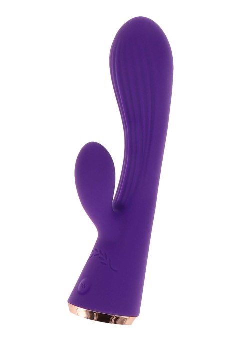 Iris Iris