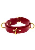 D-Ring Collar Deluxe D-Ring Collar Deluxe