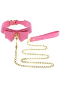 Collar and Leash Pink Collar and Leash Pink