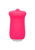 Sugar Craze Pink Sugar Craze Pink
