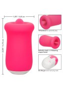 Sugar Craze Pink Sugar Craze Pink