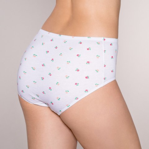 FIGI MANUELA R.S-M LAMA