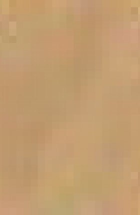 RAJSTOPY ELASTIL KARTONIK 60 DEN R.6 INEZ