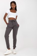 Spodnie Dresowe Model B-005.05 Dark Grey - BFG BFG Spodnie Dresowe Model B-005.05 Dark Grey - BFG BFG