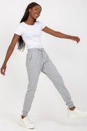 Spodnie Dresowe Model B-006.02 Grey - BFG BFG Spodnie Dresowe Model B-006.02 Grey - BFG BFG