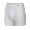 BOKSERKI AUTHENTIC PERFECT R.3XL-5XL BOKSERKI AUTHENTIC PERFECT R.3XL-5XL