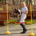 Hobby Horse Skippi - Gniado - srokaty - duży koń na kiju - A3 - z kantarem