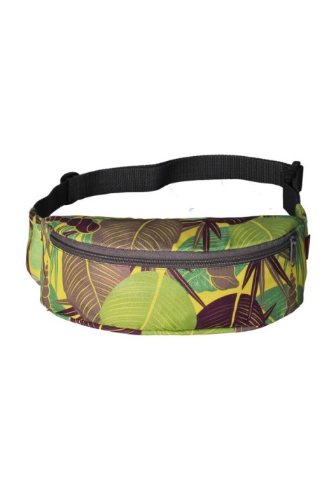 Nerka YOUNG - Ficus Yellow Nerka YOUNG - Ficus Yellow