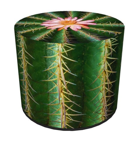 Okrągła pufa dekoracyjna - CACTUS Okrągła pufa dekoracyjna - CACTUS
