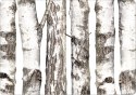Podkładka - BRZOZY - 29 cm x 42 cm Podkładka - BRZOZY - 29 cm x 42 cm