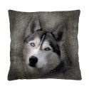 Poduszka - HUSKY 40x40 cm Poduszka - HUSKY 40x40 cm