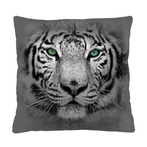 Poduszka - TIGER 40x40 cm Poduszka - TIGER 40x40 cm