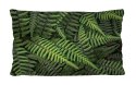 Poduszka - FERNS - 30x50 cm Poduszka - FERNS - 30x50 cm