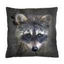 Poduszka - RACOON - 40x40 cm Poduszka - RACOON - 40x40 cm