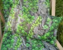 Poduszka do leżaka 30x50 cm Creeper Poduszka do leżaka 30x50 cm Creeper