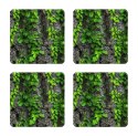 Zestaw 4 podkładek 12x12 cm - CREEPER Zestaw 4 podkładek 12x12 cm - CREEPER