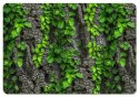 Podkładka - CREEPER - 29 cm x 42 cm Podkładka - CREEPER - 29 cm x 42 cm