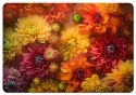 Podkładka na biurko Asters 50x70 cm Podkładka na biurko Asters 50x70 cm