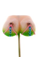 Lizak biust piersi cycuszki cycki sex osiemnastka Lizak biust piersi cycuszki cycki sex osiemnastka