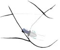 Otwarty korek analny plug tunel sex zatyczka 10cm Otwarty korek analny plug tunel sex zatyczka 10cm