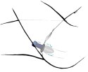 Otwarty korek analny plug tunel sex zatyczka 10cm Otwarty korek analny plug tunel sex zatyczka 10cm